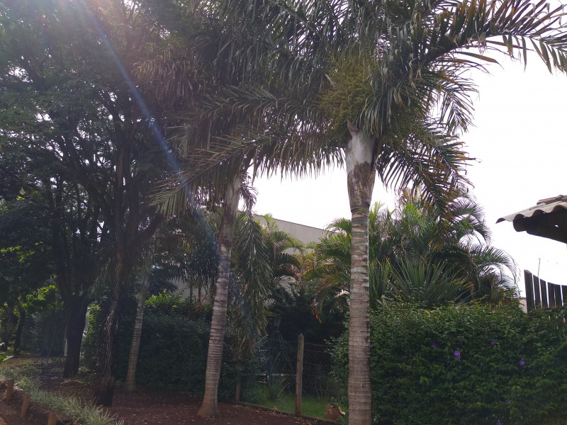 Sítio à venda Centro com 1000m² e 4 quartos por R$ 750.000 - 488986414-img-20240115-153252275.jpg