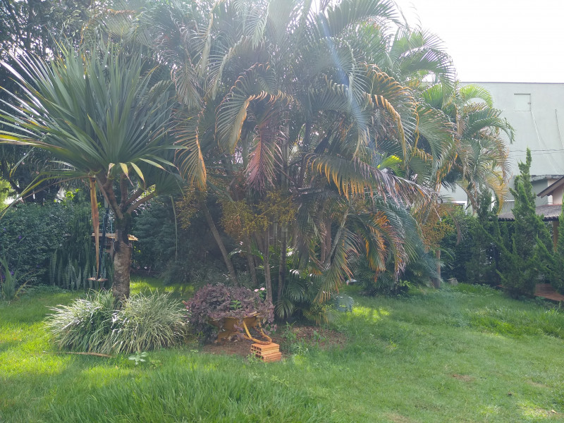 Sítio à venda Centro com 1000m² e 4 quartos por R$ 750.000 - 580228591-img-20240115-153323936.jpg