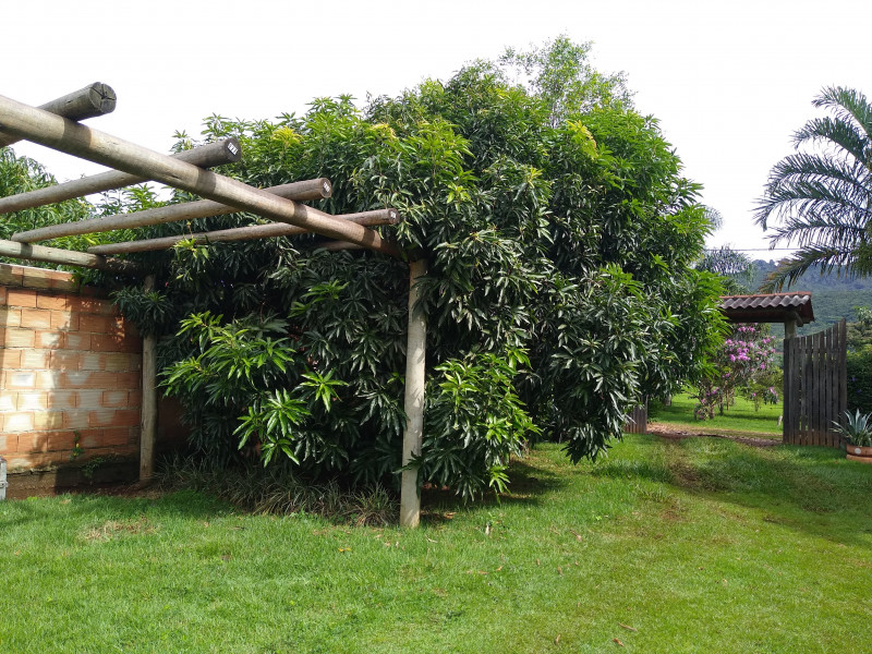 Sítio à venda Centro com 1000m² e 4 quartos por R$ 750.000 - 790466465-img-20240115-153341633.jpg