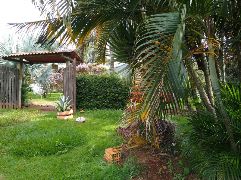 Sítio à venda Centro com 1000m² e 4 quartos por R$ 750.000 - 819443558-img-20240115-153404463.jpg