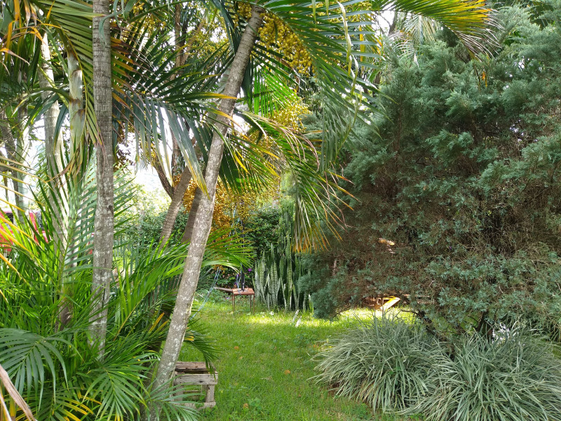 Sítio à venda Centro com 1000m² e 4 quartos por R$ 750.000 - 833305396-img-20240115-153401396.jpg