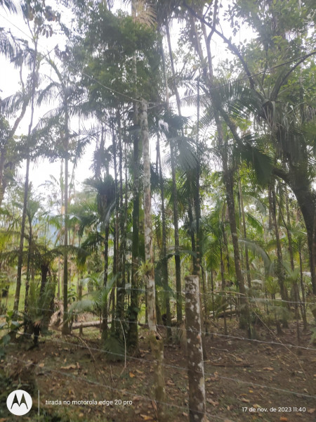 Chácara à venda Centro com 2000m² e 1 quarto por R$ 45.000 - 1529631809-img-20240302-wa0008.jpg