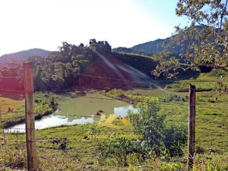 Sítio à venda Centro com 200000m² e 6 quartos por R$ 3.800.000 - 283260400-fazenda-sitio-chacara-com-6-quartos-a-venda-159000m-no-zona-rural-cachoeiras-de-macacu-25.jpg