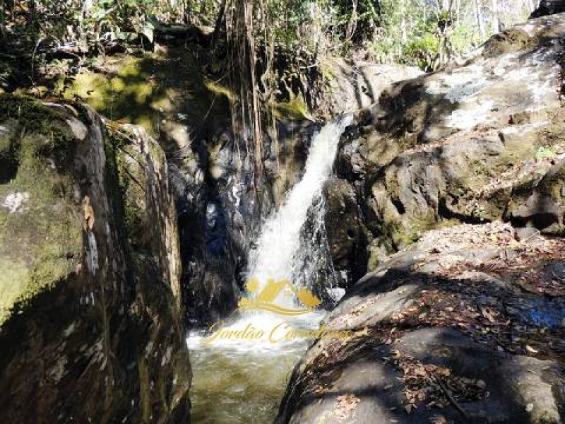 Sítio à venda Centro com 200000m² e 6 quartos por R$ 3.800.000 - 464298626-fazenda-sitio-chacara-com-6-quartos-a-venda-159000m-no-zona-rural-cachoeiras-de-macacu-24.jpg