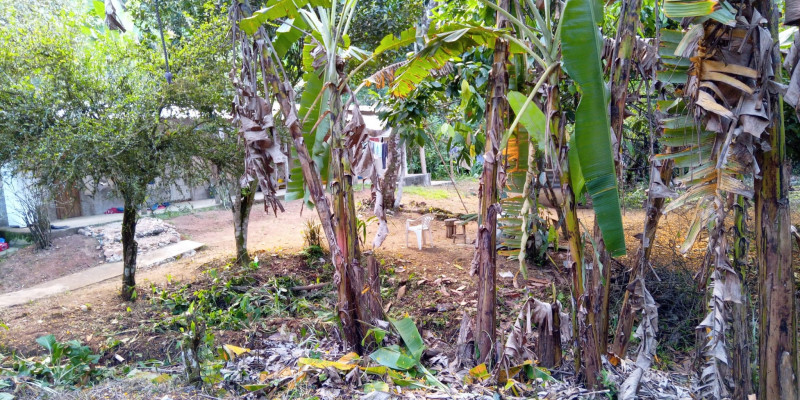 Sítio à venda Ubatumirim com 4500m² e 3 quartos por R$ 450.000 - 1301355580-img-20230419-wa0042.jpg