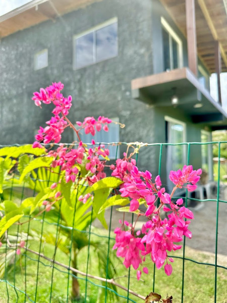 Apartamento à venda Centro com 35m² e 1 quarto por R$ 650.000 - 1283253246-img-5648.jpg