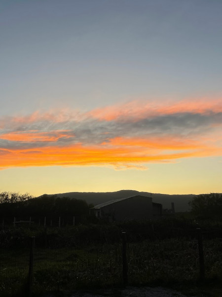 Apartamento à venda Centro com 35m² e 1 quarto por R$ 650.000 - 1655383191-img-1335.jpg