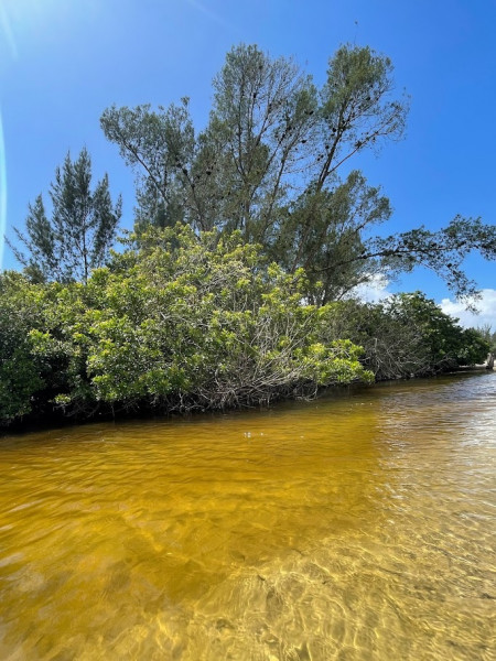 Apartamento à venda Centro com 35m² e 1 quarto por R$ 650.000 - 1779030121-img-8474.jpg