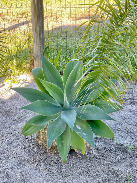 Apartamento à venda Centro com 35m² e 1 quarto por R$ 650.000 - 1799413487-img-1300.jpg