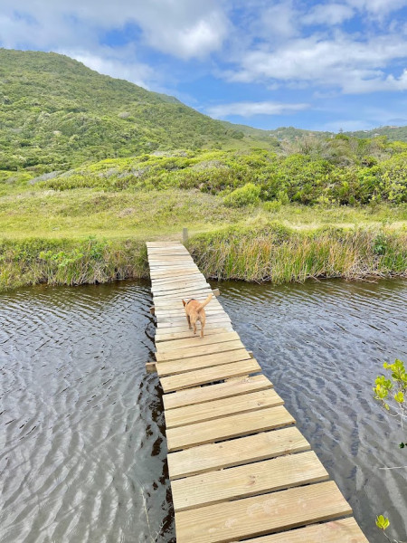 Apartamento à venda Centro com 35m² e 1 quarto por R$ 650.000 - 1924997712-img-8826.jpg