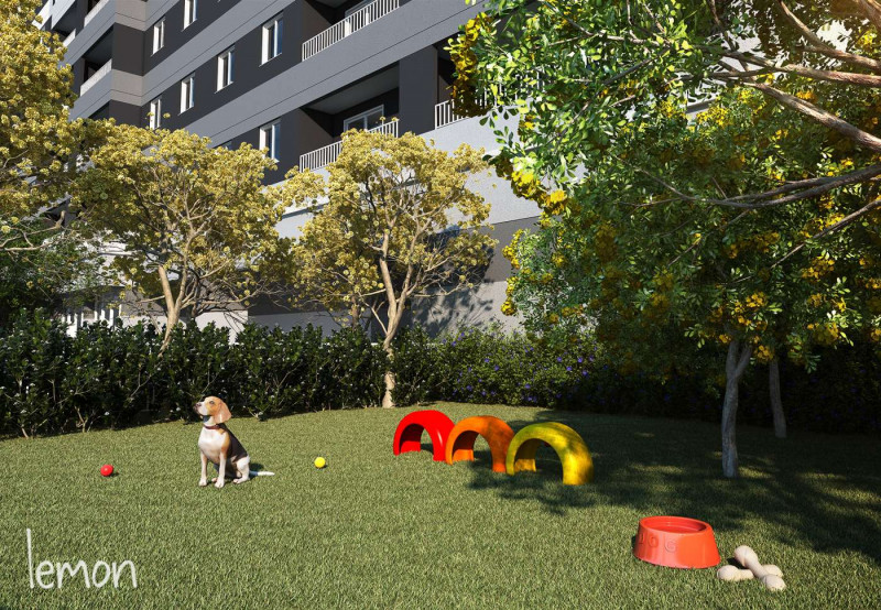 Apartamento à venda Vila Vermelha com 60m² e 3 quartos por R$ 534.000 - 885884674-pet-place.jpg