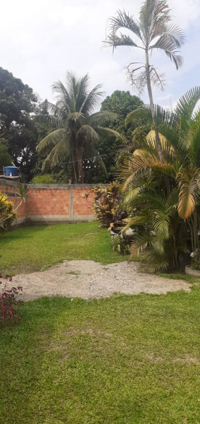 Casa à venda Santa Rita com 535m² e 2 quartos por R$ 190.000 - 1085676720-whatsapp-image-2023-03-13-at-13.jpeg