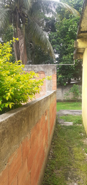 Casa à venda Santa Rita com 535m² e 2 quartos por R$ 190.000 - 201774620-whatsapp-image-2023-03-13-at-14.jpeg