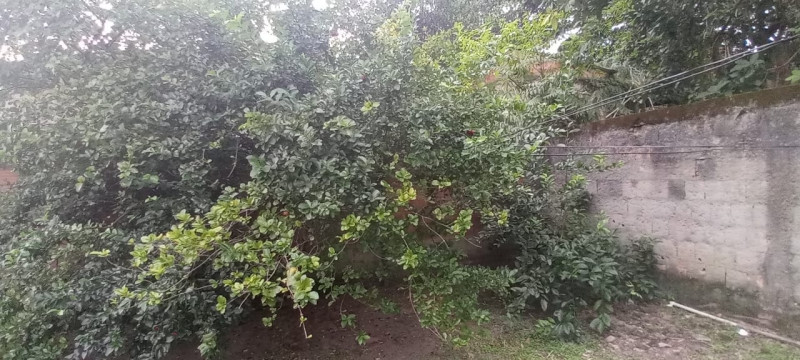 Casa à venda Santa Rita com 535m² e 2 quartos por R$ 190.000 - 2019542699-whatsapp-image-2023-03-13-at-14.jpeg