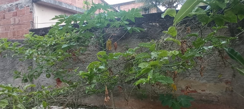 Casa à venda Santa Rita com 535m² e 2 quartos por R$ 190.000 - 251549688-whatsapp-image-2023-03-13-at-14.jpeg