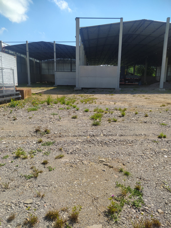 Comercial para alugar Centro com 750m² e 0 quartos por R$ 9 - 1496850995-img-20240307-145648.jpg