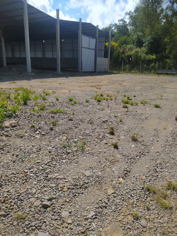 Comercial para alugar Centro com 750m² e 0 quartos por R$ 9 - 2045181275-img-20240307-145701.jpg