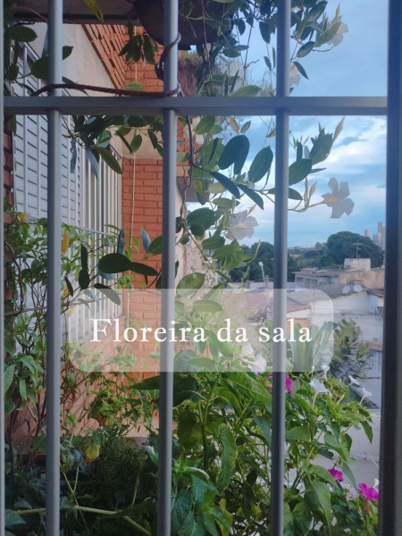 Apartamento à venda Setor Sul com 150m² e 4 quartos por R$ 795.000 - 230051766-7-floreira.jpeg