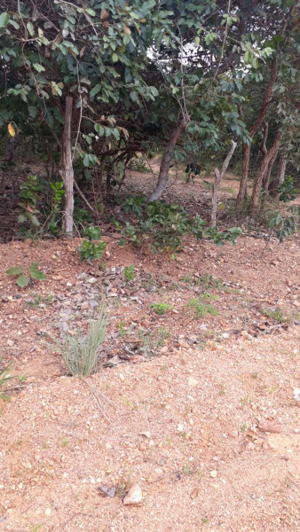 Terreno à venda Centro com 95000m² e 0 quartos por R$ 450.000 - 1339851643-img-20210311-wa0012.jpg
