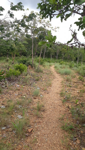 Terreno à venda Centro com 95000m² e 0 quartos por R$ 450.000 - 1441859293-img-20210311-wa0033.jpg