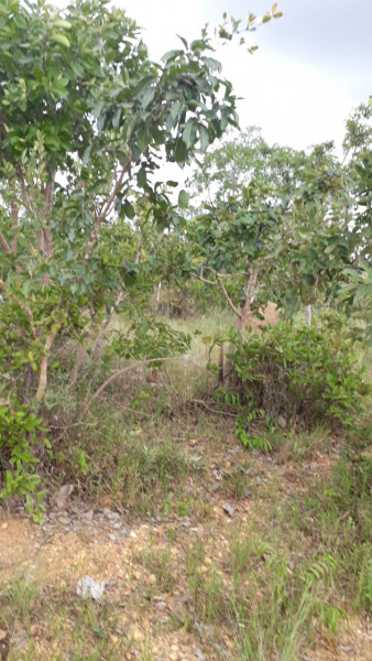 Terreno à venda Centro com 95000m² e 0 quartos por R$ 450.000 - 147271477-img-20210311-wa0036.jpg