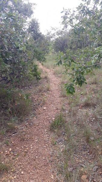 Terreno à venda Centro com 95000m² e 0 quartos por R$ 450.000 - 1583082745-img-20210311-wa0020.jpg