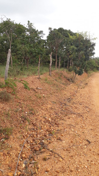 Terreno à venda Centro com 95000m² e 0 quartos por R$ 450.000 - 2023027494-img-20210311-wa0018.jpg