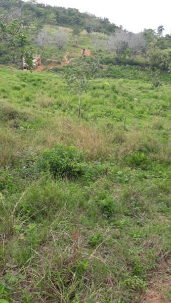 Terreno à venda Centro com 95000m² e 0 quartos por R$ 450.000 - 2042564899-img-20210311-wa0003.jpg