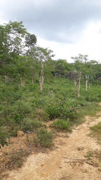 Terreno à venda Centro com 95000m² e 0 quartos por R$ 450.000 - 239649375-img-20210311-wa0014.jpg