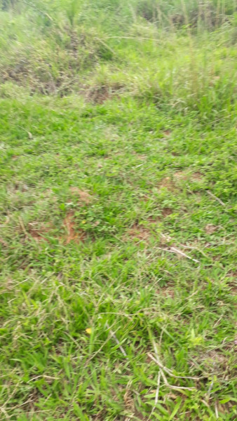 Terreno à venda Centro com 95000m² e 0 quartos por R$ 450.000 - 267019543-img-20210311-wa0005.jpg
