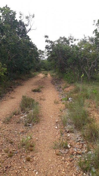 Terreno à venda Centro com 95000m² e 0 quartos por R$ 450.000 - 52348947-img-20210311-wa0015.jpg