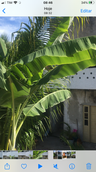 Casa de condomínio à venda CENTRO com 240m² e 5 quartos por R$ 1.320.000 - 1329588328-a0af93ea-43c1-4361-b857-021033aba545.png