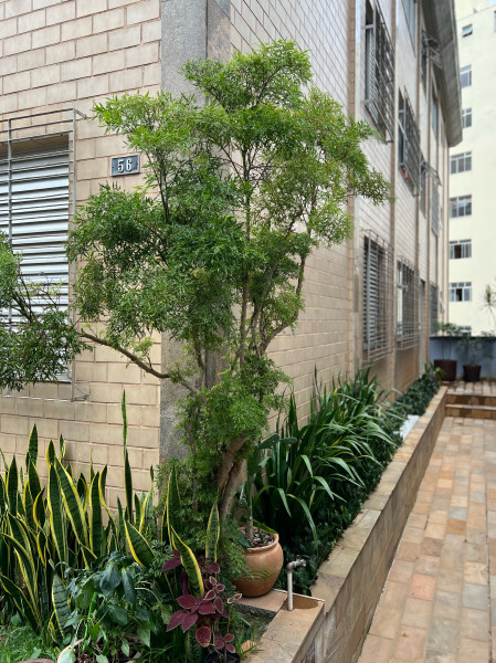 Apartamento à venda Sion com 100m² e 4 quartos por R$ 550 - 724421385-img-0581.jpeg