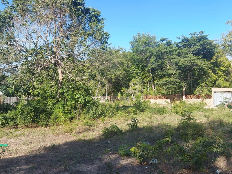 Terreno à venda Centro com 20m² e 0 quartos por R$ 22.000 - 2043709808-1000394226.jpg