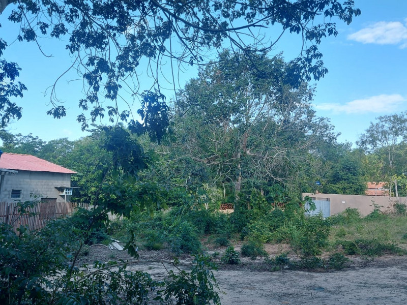 Terreno à venda Centro com 20m² e 0 quartos por R$ 22.000 - 453595648-1000394228.jpg