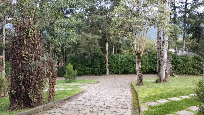 Casa de condomínio à venda Floresta com 165m² e 3 quartos por R$ 2.000.000 - 1188020242-whatsapp-image-2024-03-10-at-16.jpeg