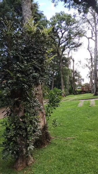 Casa de condomínio à venda Floresta com 165m² e 3 quartos por R$ 2.000.000 - 1709469962-whatsapp-image-2024-03-10-at-16.jpeg