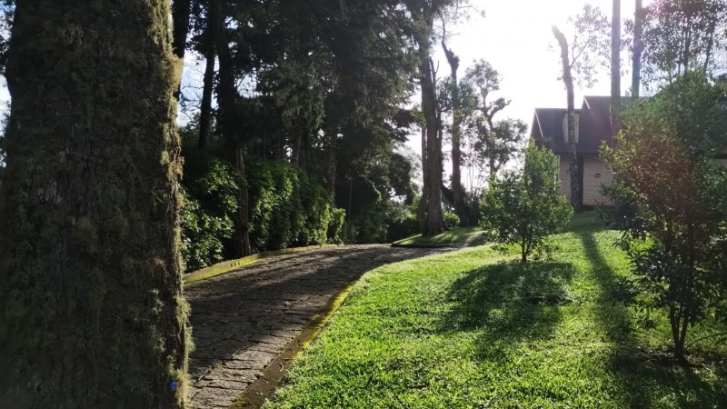 Casa de condomínio à venda Floresta com 165m² e 3 quartos por R$ 2.000.000 - 393648305-whatsapp-image-2024-03-10-at-16.jpeg
