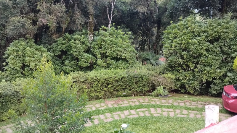 Casa de condomínio à venda Floresta com 165m² e 3 quartos por R$ 2.000.000 - 557644429-whatsapp-image-2024-03-10-at-16.jpeg
