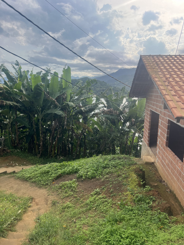 Casa à venda Centro (Paraty) com 100m² e 2 quartos por R$ 500.000 - 28749139-img-6313.jpeg