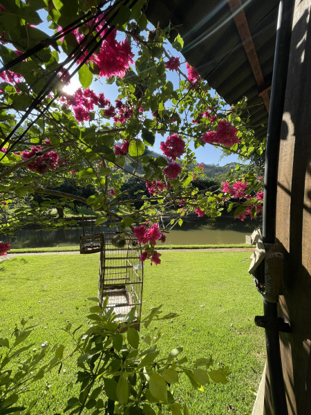 Chácara à venda Jardim Alto da Boa Vista com 5625m² e 3 quartos por R$ 1.450.000 - 906187959-img-1222.JPEG