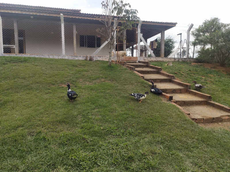 Chácara à venda Centro com 8500m² e 4 quartos por R$ 1.250.000 - 380684490-photo-2022-11-03-10-25-48.jpg