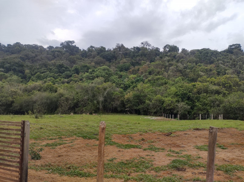 Chácara à venda Centro com 8500m² e 4 quartos por R$ 1.250.000 - 553434938-photo-2022-11-03-10-25-45.jpg