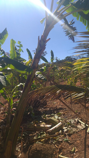 Chácara à venda Centro com 3000m² e 5 quartos por R$ 1.300.000 - 1994372969-whatsapp-image-2024-01-22-at-11.jpeg