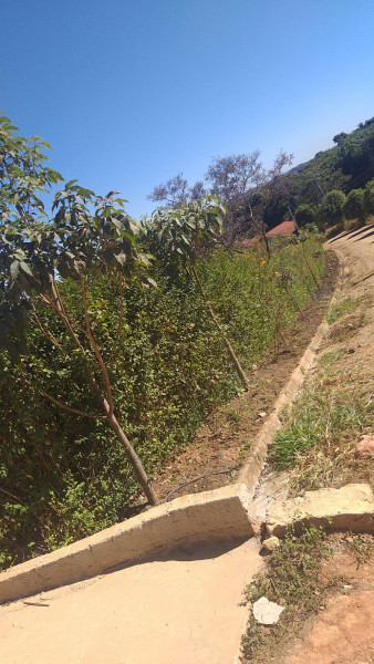 Chácara à venda Centro com 3000m² e 5 quartos por R$ 1.300.000 - 572363319-whatsapp-image-2024-01-22-at-11.jpeg