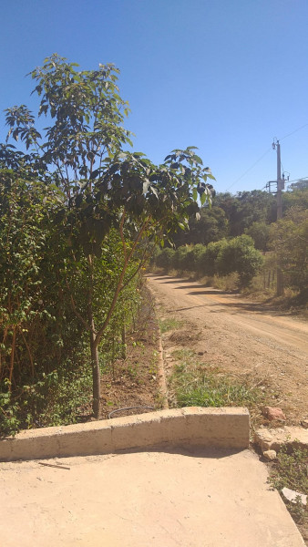 Chácara à venda Centro com 3000m² e 5 quartos por R$ 1.300.000 - 614908855-whatsapp-image-2024-01-22-at-11.jpeg