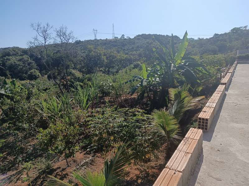 Chácara à venda Centro com 3000m² e 5 quartos por R$ 1.300.000 - 704276381-whatsapp-image-2024-01-22-at-11.jpeg