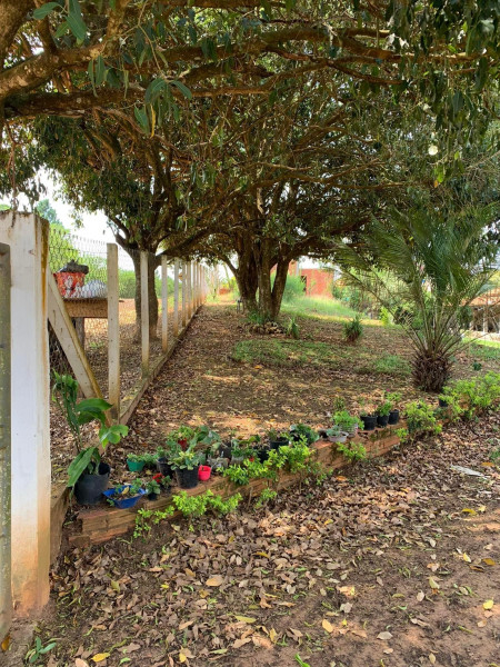 Chácara à venda Jardim Umarizal com 3400m² e 3 quartos por R$ 370.000 - 1371060678-img-8271.jpeg