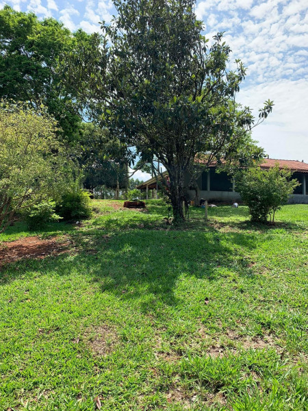 Chácara à venda Jardim Umarizal com 3400m² e 3 quartos por R$ 370.000 - 26099189-img-8267.jpeg