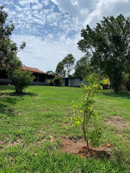 Chácara à venda Jardim Umarizal com 3400m² e 3 quartos por R$ 370.000 - 881602781-img-8266.jpeg